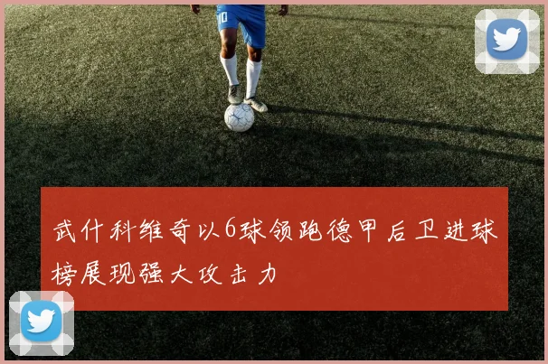 武什科维奇以6球领跑德甲后卫进球榜展现强大攻击力